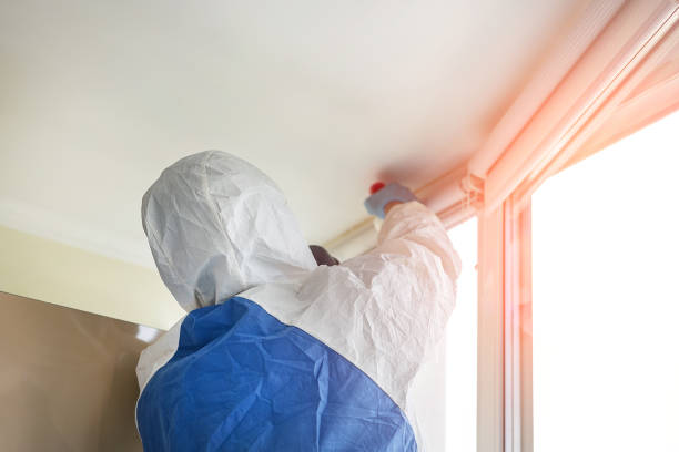 Best Environmental Consulting for Mold Prevention  in Merryville, LA