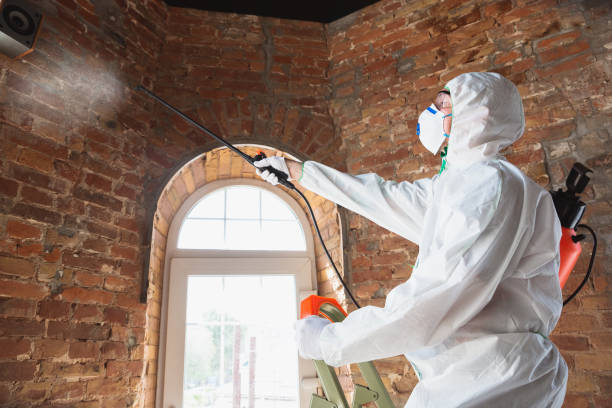 Best Residential Mold Inspection & Testing  in Merryville, LA